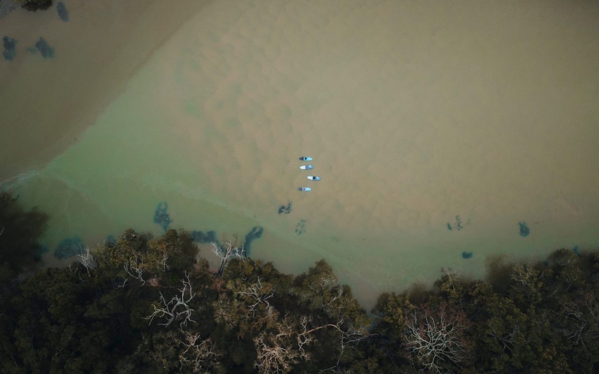 Birds eye view of people paddle boarding on creek