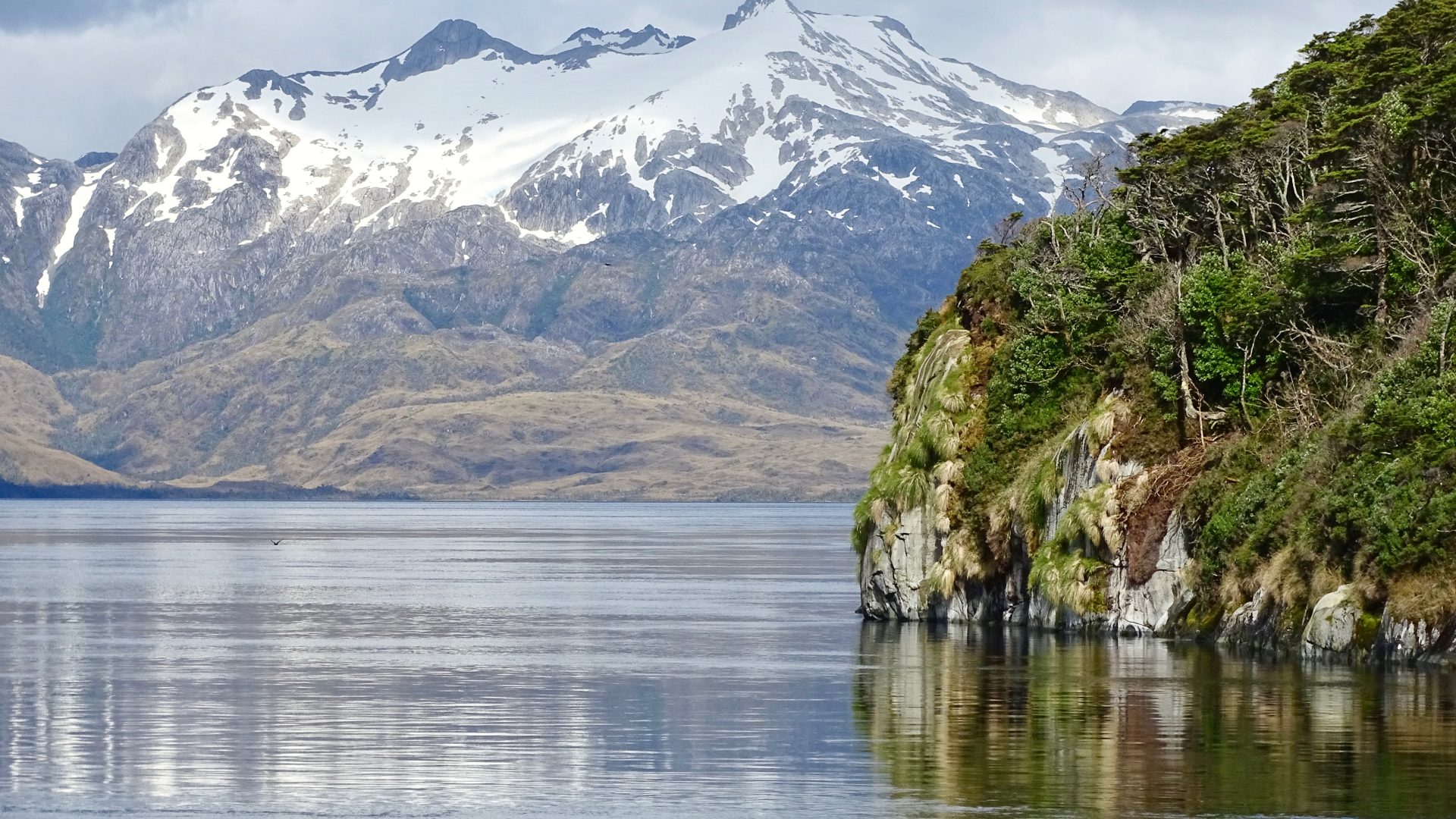The fight to save the ancestral fishing grounds of Indigenous Chileans