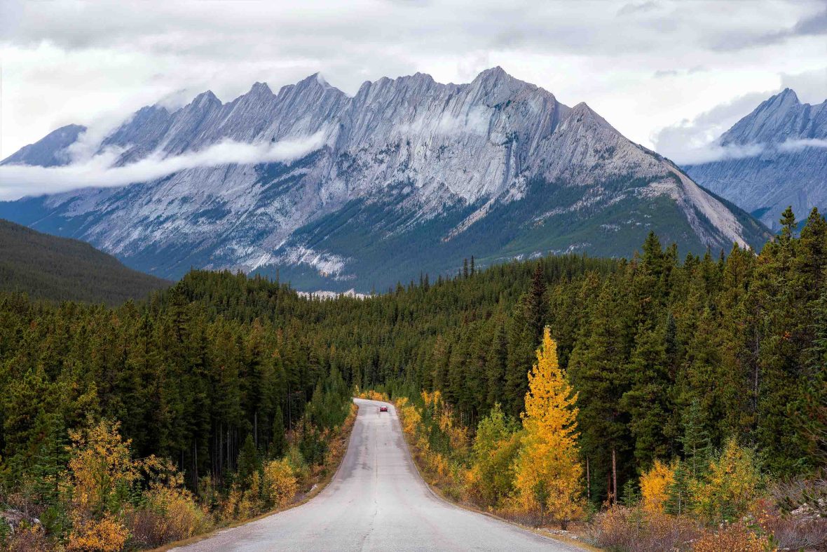 A road leads through green and yellow trees to mountains.