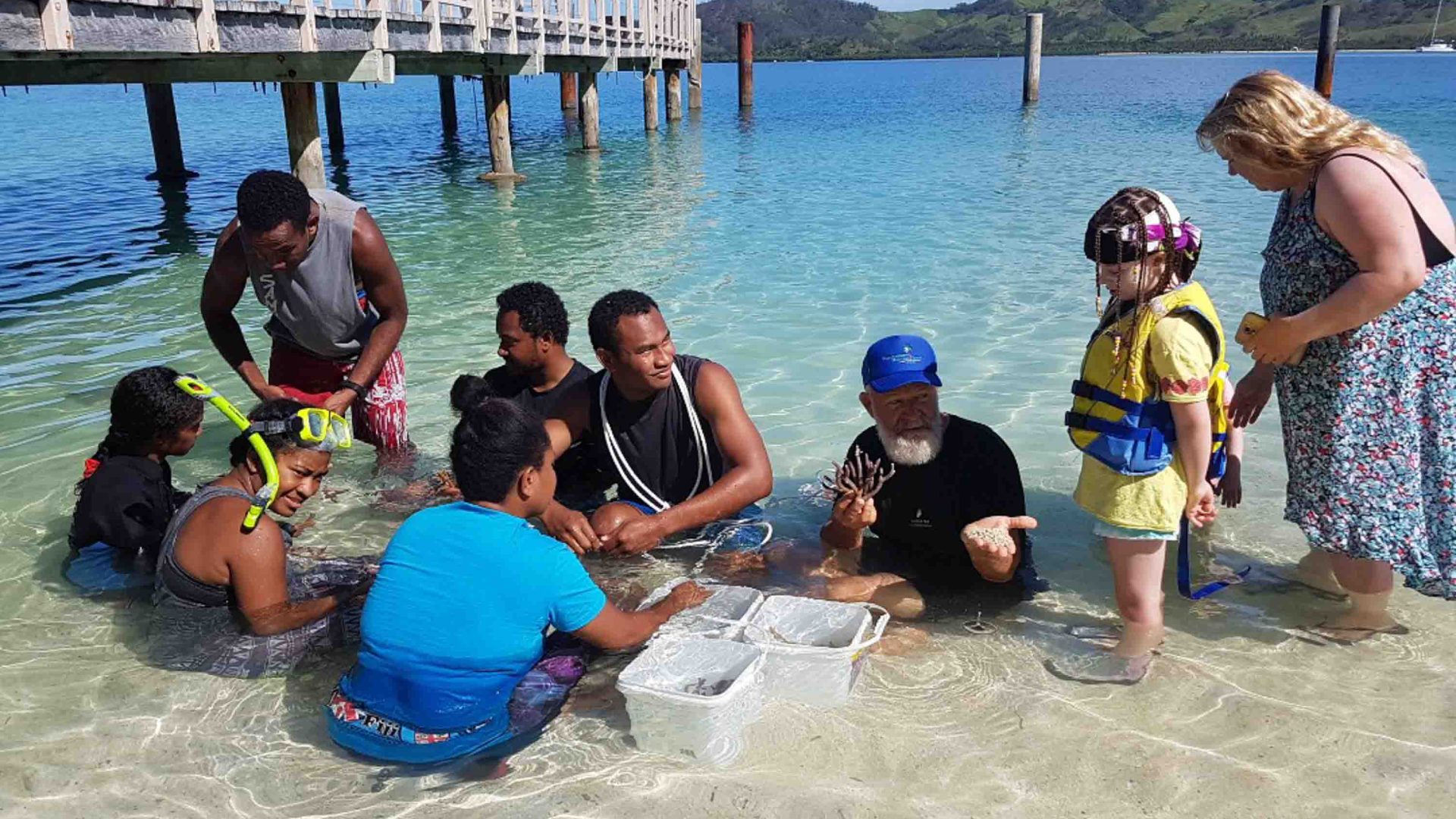 A group plants coral while sitting in shallow water.