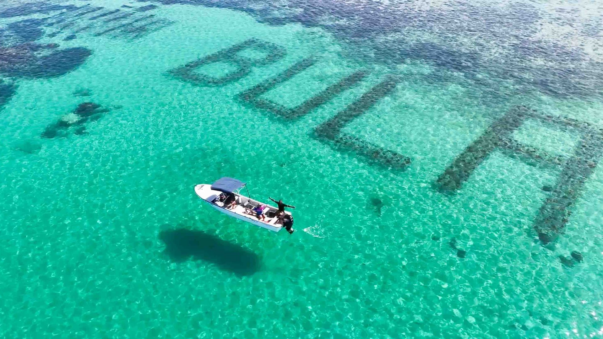 Designed to combat coral bleaching, how is the world’s largest underwater reef faring one year on?