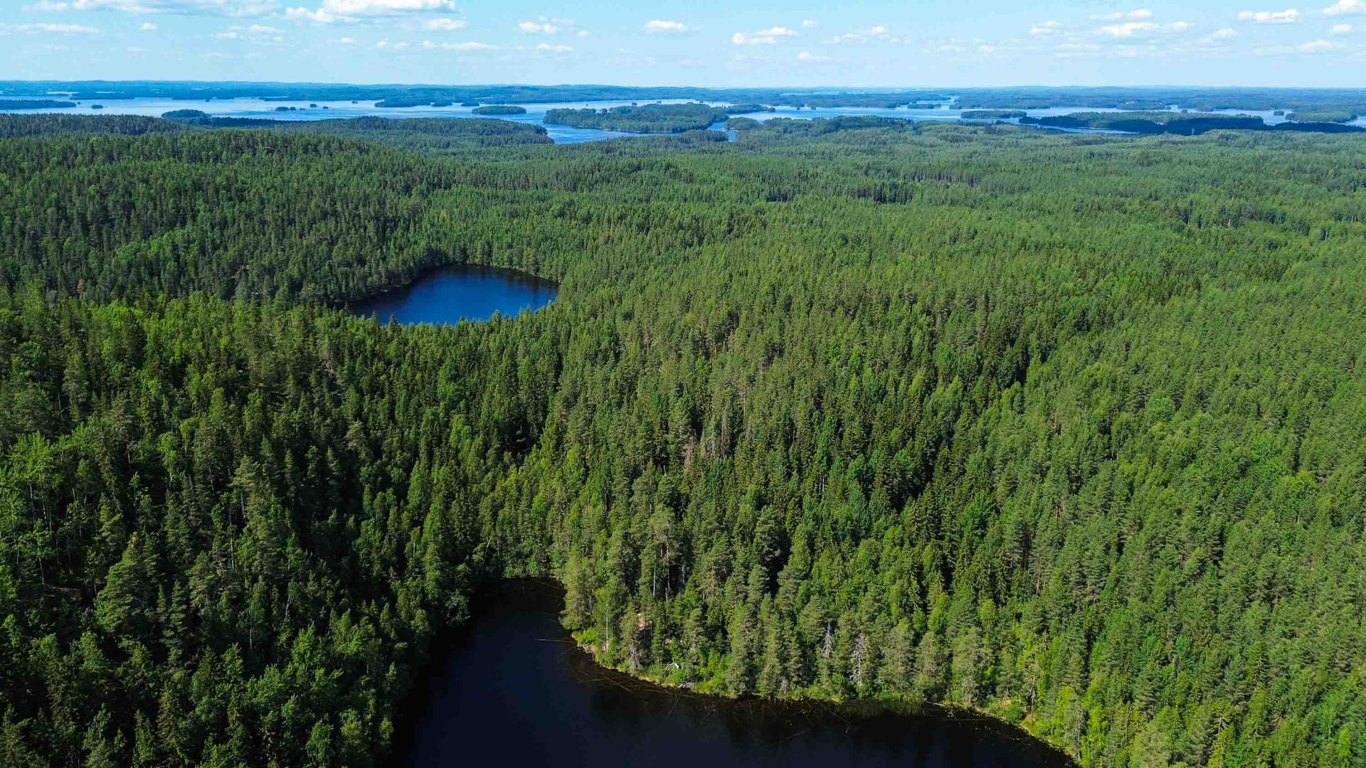 An aerial view of a forested landscape with with a brilliant blue lake in the middle, and further lakes in the distance.
