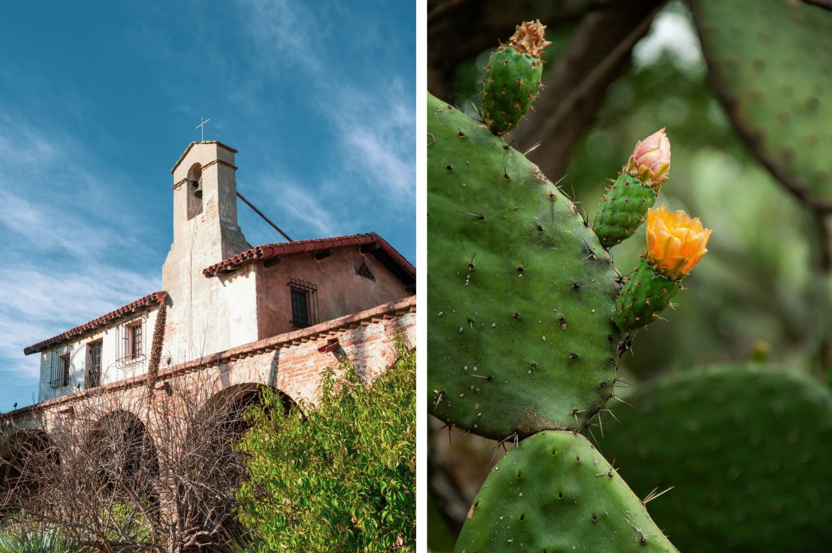 An 18th century church in Southern California and a flowering prickly pear cactus.