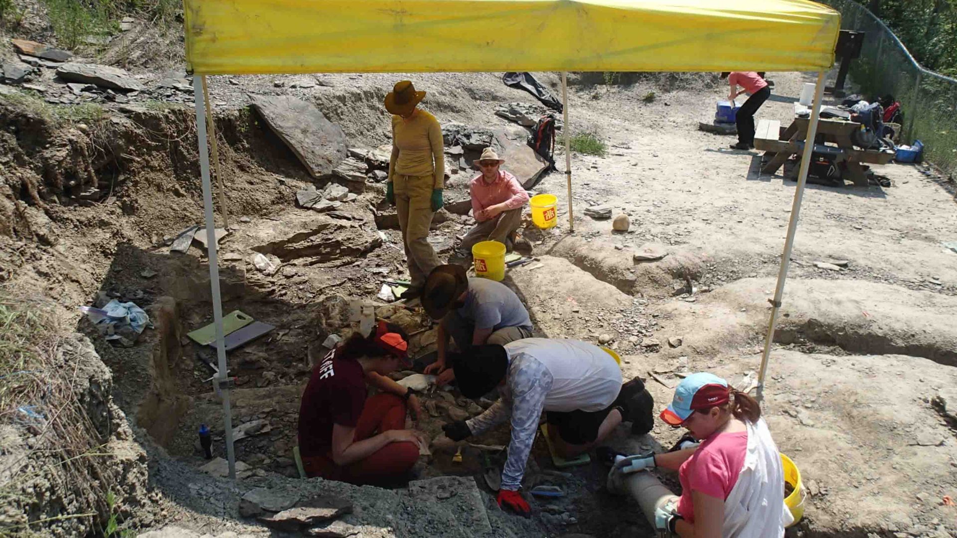 People working together under a yellow gazebo to unearth fossils.