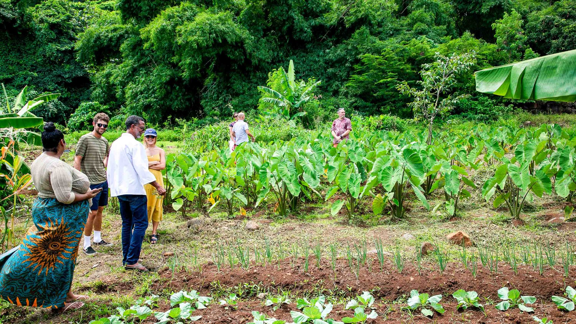 Meet the family pioneering the Caribbean’s first ‘climate-smart islands’. The blueprint? Their own backyard