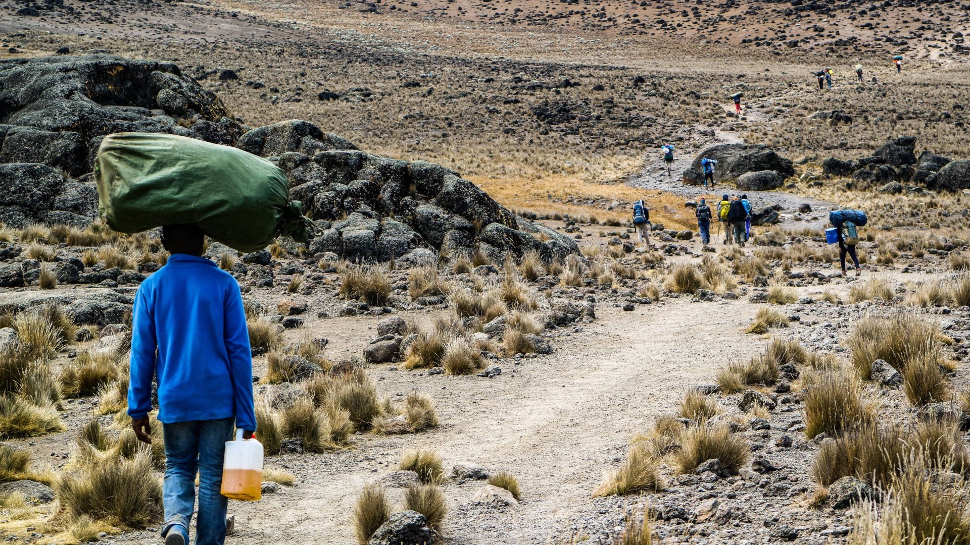 How Kilimanjaro’s porters turned to gardening to survive the pandemic