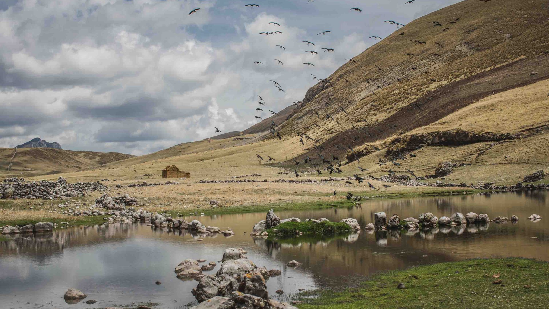 A lake alongside mountains.