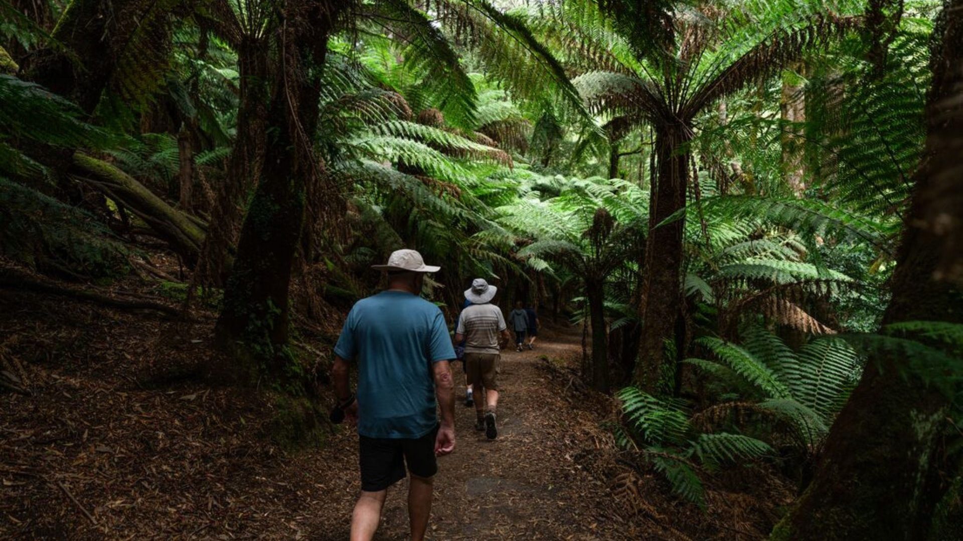 Luxury hiking developments look picture-perfect, but could stop everyday Australians from accessing national parks