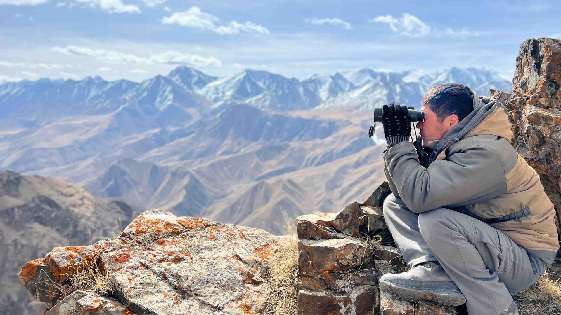 A snow leopard tracker uses a scope to look for leopards.