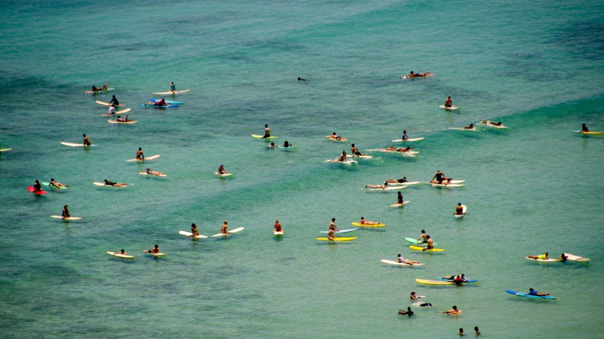 A number of surfers floating on their boards in an aquamarine sea