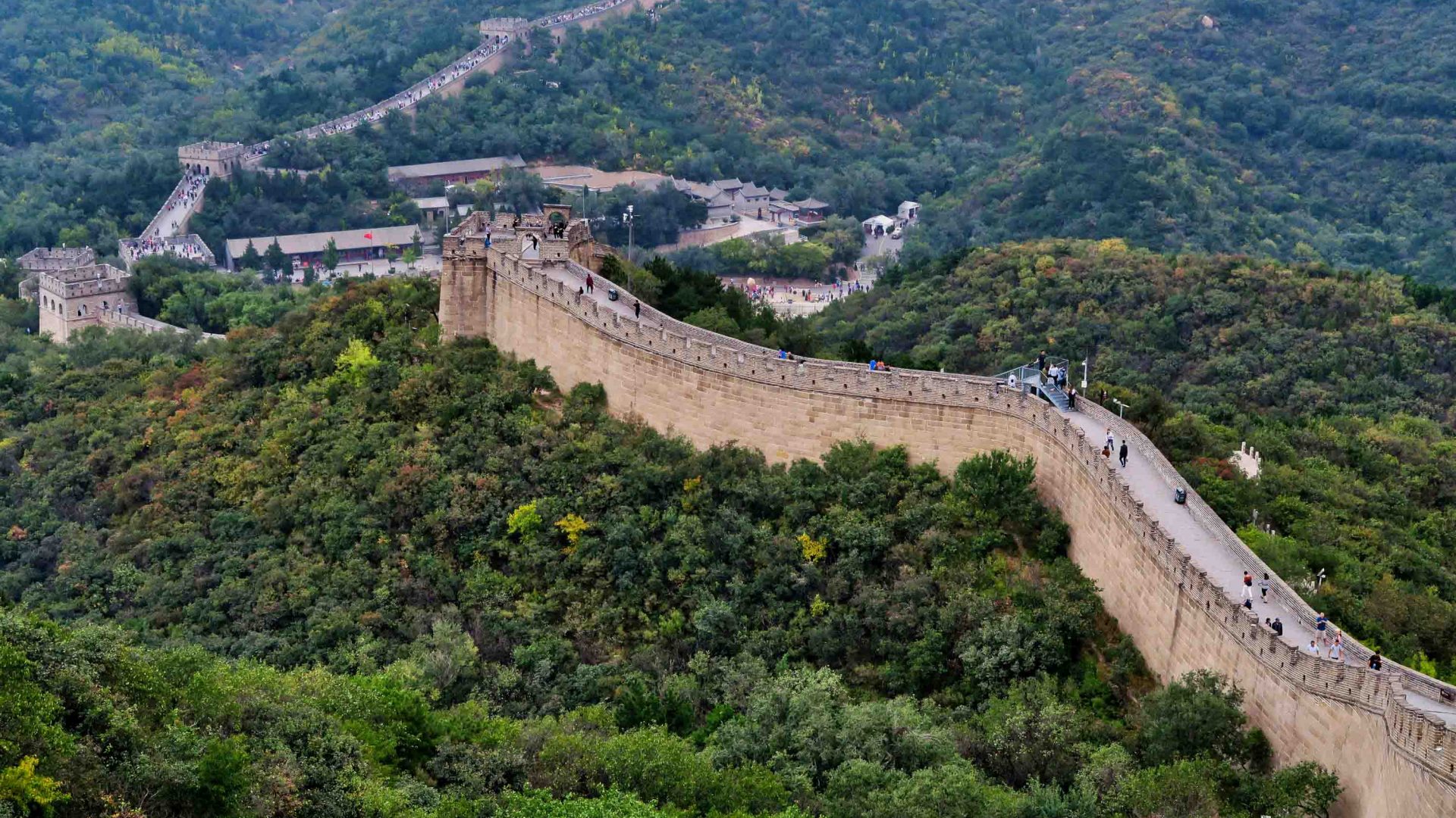 The Great Wall winds through trees.