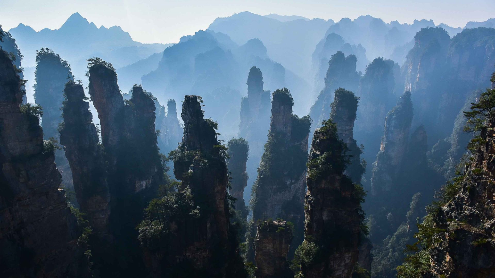 Forested rock formations peek out from cloud and fog.
